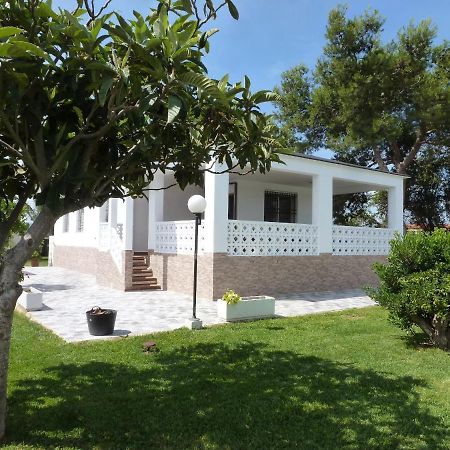 Chalet Verde Tavernes de Valldigna Ngoại thất bức ảnh