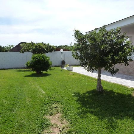 Chalet Verde Tavernes de Valldigna Ngoại thất bức ảnh