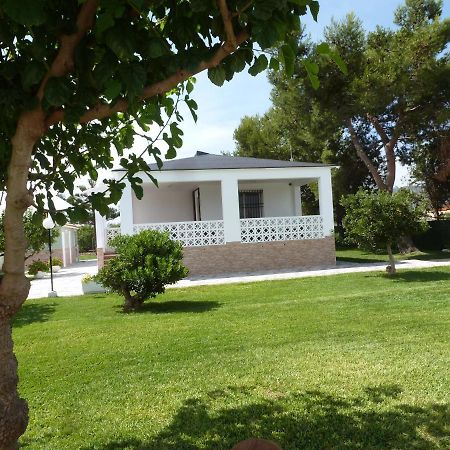 Chalet Verde Tavernes de Valldigna Ngoại thất bức ảnh